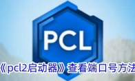 《pcl2启动器》攻略——查看端口号方法