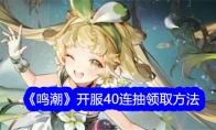 《鸣潮》攻略——开服40连抽领取方法