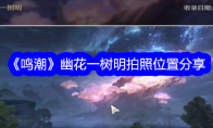 《鸣潮》攻略——幽花一树明拍照位置分享