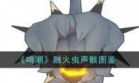 《鸣潮》攻略——融火虫声骸图鉴