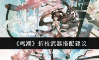 《鸣潮》攻略——折枝武器搭配建议