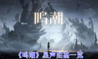 《鸣潮》攻略——星声图鉴一览