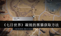 《七日世界》攻略——凝视的黑猫获取方法