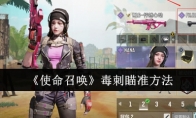 《使命召唤》攻略——毒刺瞄准方法