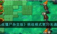 《植物大战僵尸杂交版》攻略——挑战模式第35关通关攻略