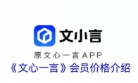 《文心一言》攻略——会员价格介绍