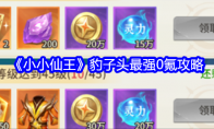 《小小仙王》攻略——豹子头最强0氪攻略