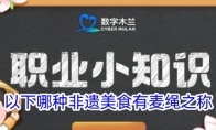 以下哪种非遗美食有麦绳之称