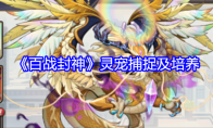 《百战封神》攻略——灵宠捕捉及培养