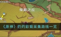 《原神》攻略——灼灼彩菊采集路线一览