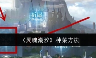 《灵魂潮汐》攻略——种菜方法