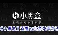 《小黑盒》攻略——查看epic游戏库方法