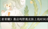 《王者荣耀》攻略——桑启鸣野蒿皮肤上线时间介绍