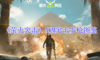 《萤火突击》攻略——AKM突击步枪图鉴