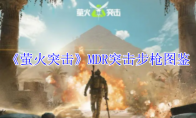 《萤火突击》攻略——MDR突击步枪图鉴