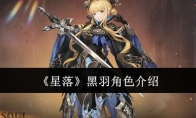 《星落》攻略——黑羽角色介绍