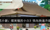 《蜡笔小新：煤炭镇的小白》攻略——钱包快速升级方法