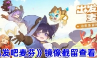 《出发吧麦芬》攻略——镜像截留查看