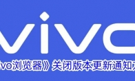 《vivo浏览器》攻略——关闭版本更新通知方法