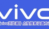 《vivo浏览器》攻略——点按搜索设置方法