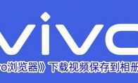 《vivo浏览器》攻略——下载视频保存到相册方法