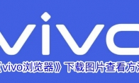 《vivo浏览器》攻略——下载图片查看方法