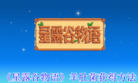 《星露谷物语》攻略——羊肚菌获得方法