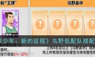《排球少年：新的征程》攻略——乌野低配队搭配推荐