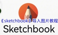 《sketchbook》攻略——导入图片教程