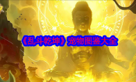 《乱斗乾坤》攻略——宠物图鉴大全