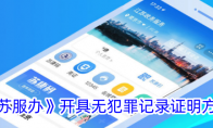 《苏服办》攻略——开具无犯罪记录证明方法
