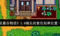 《星露谷物语》攻略——1.6镇长的紫色短裤位置一览