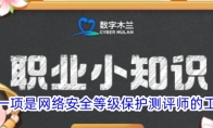 以下哪一项是网络安全等级保护测评师的工作范畴