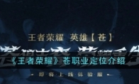 《王者荣耀》攻略——苍职业定位介绍