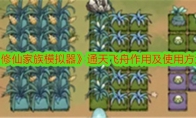 《修仙家族模拟器》攻略——通天飞舟作用及使用方法