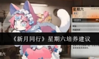 《新月同行》攻略——星期六培养建议