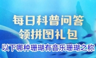 以下哪种珊瑚有音乐珊瑚之称