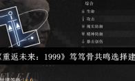 《重返未来：1999》攻略——笃笃骨共鸣选择建议