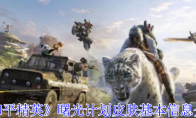 《和平精英》攻略——曙光计划皮肤基本信息介绍