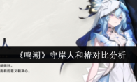 《鸣潮》攻略——守岸人和椿对比分析
