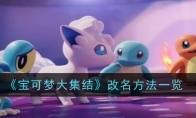 《宝可梦大集结》攻略——改名方法一览