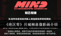 《绝区零》攻略——月城柳意像影画介绍