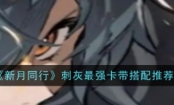 《新月同行》攻略——刺灰最强卡带搭配推荐