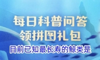 目前已知最长寿的鲸类是