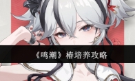 《鸣潮》攻略——椿培养攻略