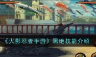 《火影忍者手游》攻略——黑绝技能介绍