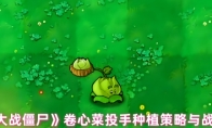 《植物大战僵尸》攻略——卷心菜投手种植策略与战斗效果