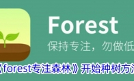 《forest专注森林》攻略——开始种树方法