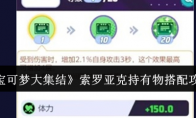 《宝可梦大集结》攻略——索罗亚克持有物搭配攻略