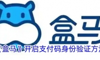 《盒马》攻略——开启支付码身份验证方法